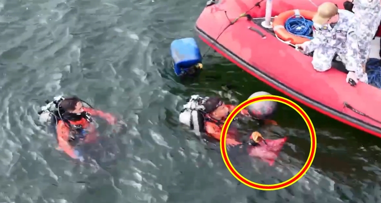 Bones in taal lake