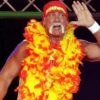 Hulk hogan 1