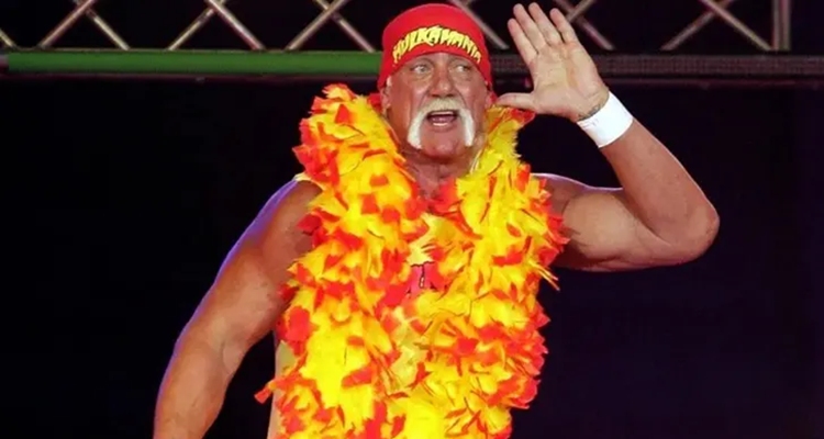 Hulk hogan 1