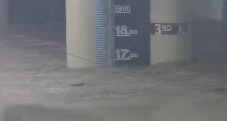 Marikina river