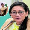 Risa hontiveros kiko pangilinan bam aquino