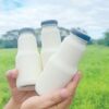 Dairy 2025 07 11 23 11 54
