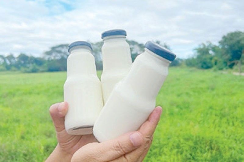 Dairy 2025 07 11 23 11 54