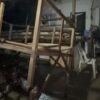Flood 5