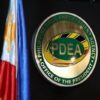 Pdea logo 2025 07 24 19 42 49