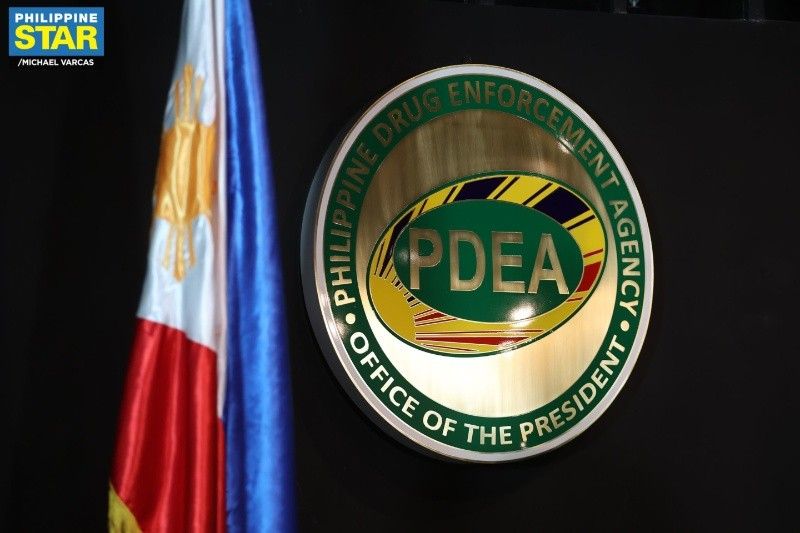 Pdea logo 2025 07 24 19 42 49