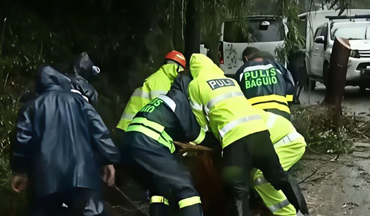 Rescuers pica