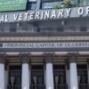 Vet office