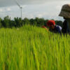 Farmers on a field