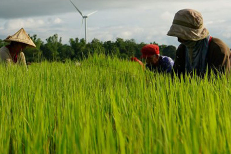Farmers on a field