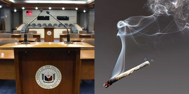 議会での大麻疑惑、職員の行動が波紋