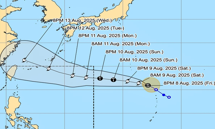 Tropical storm podul