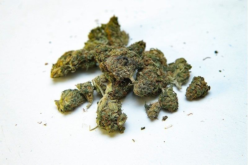 Medical marijuana2024 08 1523 18 06 2025 08 08 23 18 07