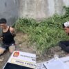 Robbery suspect