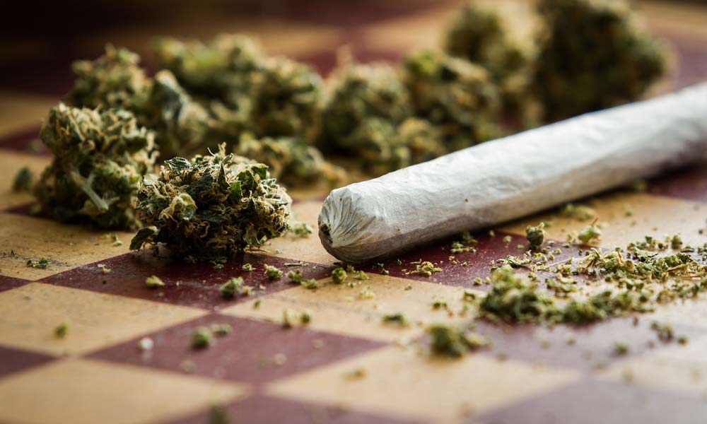 Abante tonite tnt marijuana 1