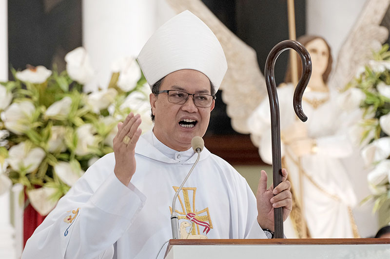 Cardinal david