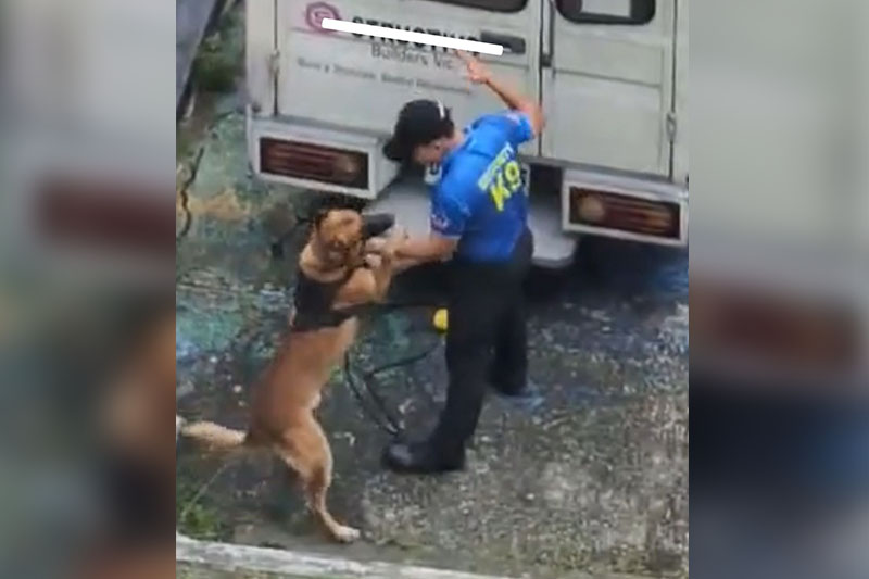 K9 dog meralco