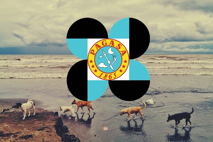 Pagasa 7