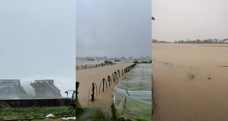Super typhoon nando fo