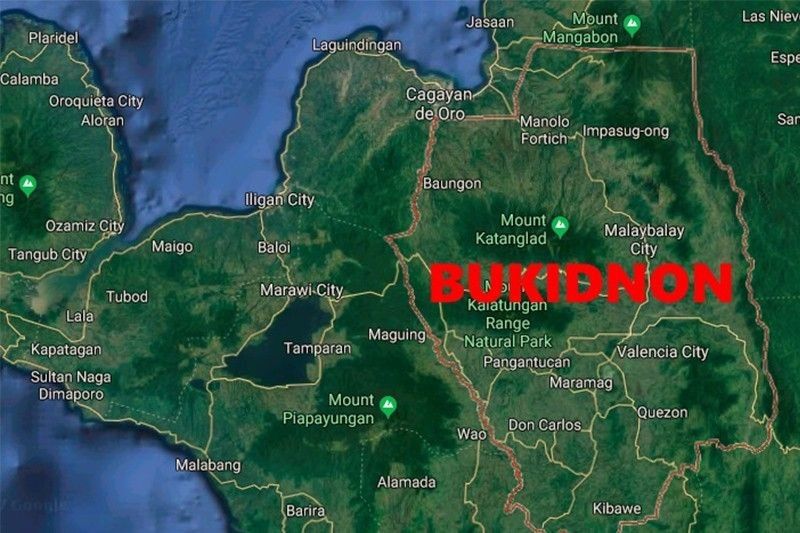 Bukidnon map2023 12 2517 55 00 2025 09 07 22 44 15