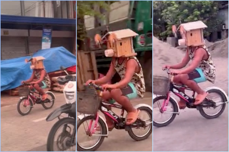 Cyclist bird box