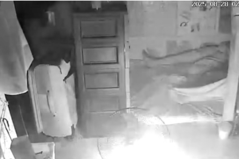 Fire cctv