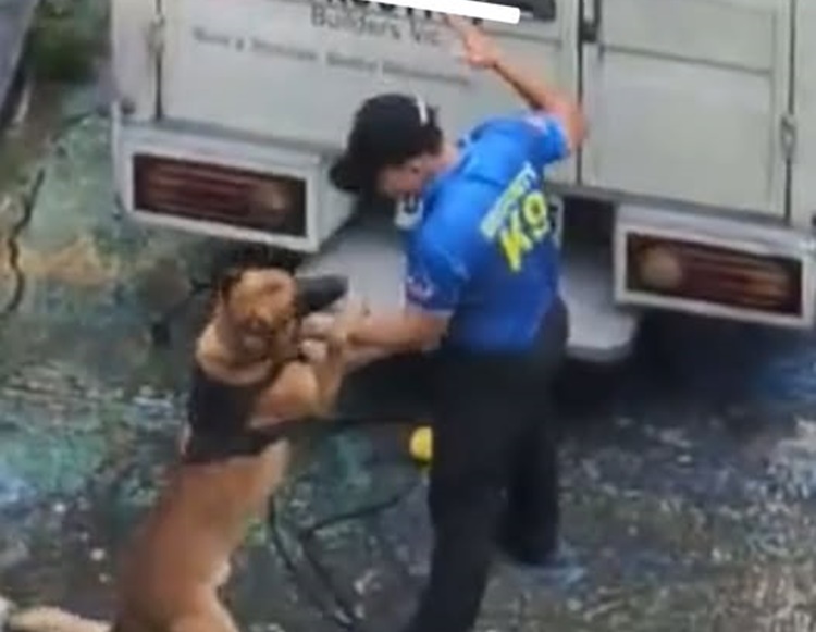 K9 handler2 1