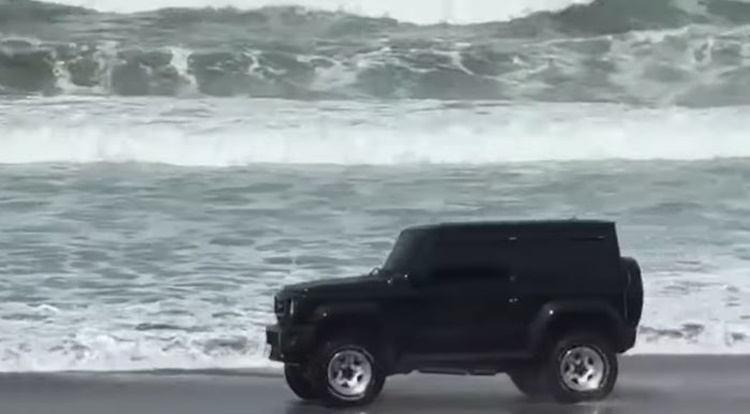 海亀の保護地を走行した運転手にLTOが警告