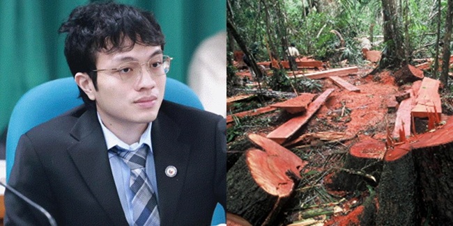 違法伐採・採掘に死刑を！議員の強硬提案
