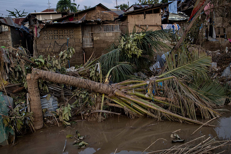 台風ティノで家流失、男性が海上漂流3日間