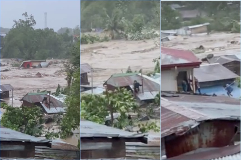 セブの洪水で犬を救出した勇敢な男性の物語