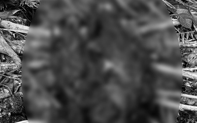 救援中のフィリピン空軍ヘリ墜落、捜索続く