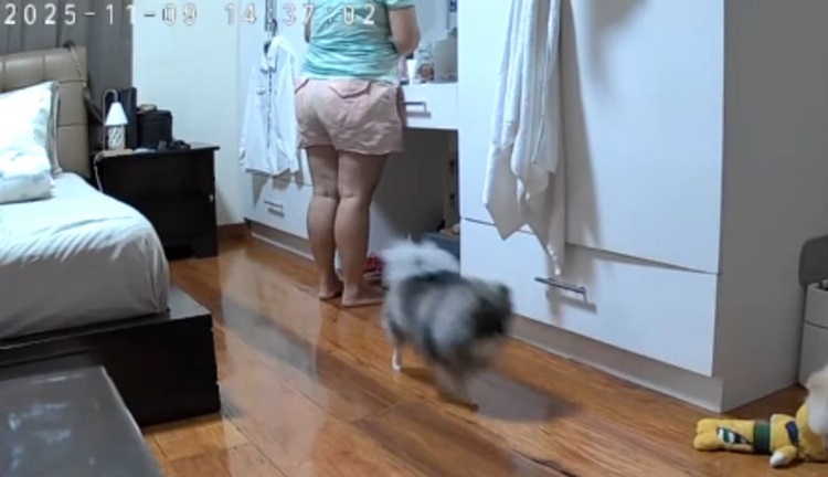 ケソン市で家政婦が指輪窃盗、逮捕される