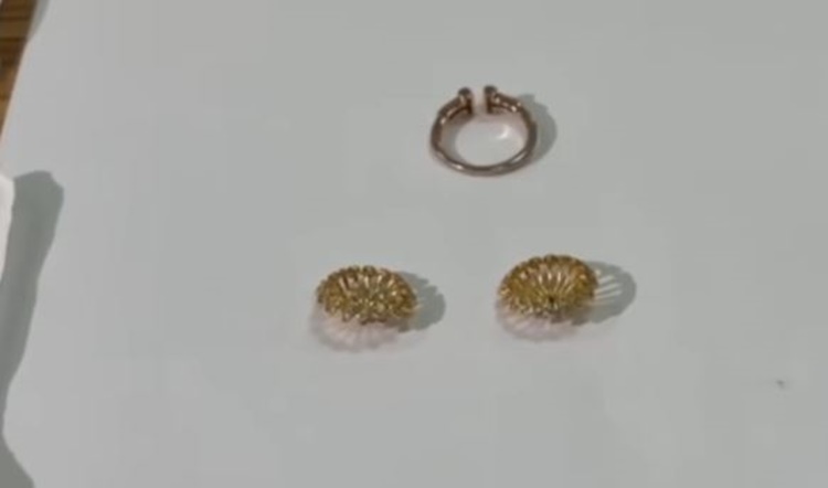 家政婦と共犯者、100万円超の宝石窃盗で逮捕