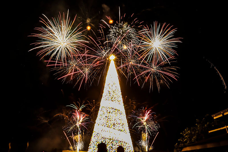Festive Christmas light show and tree illumination in Palawan
