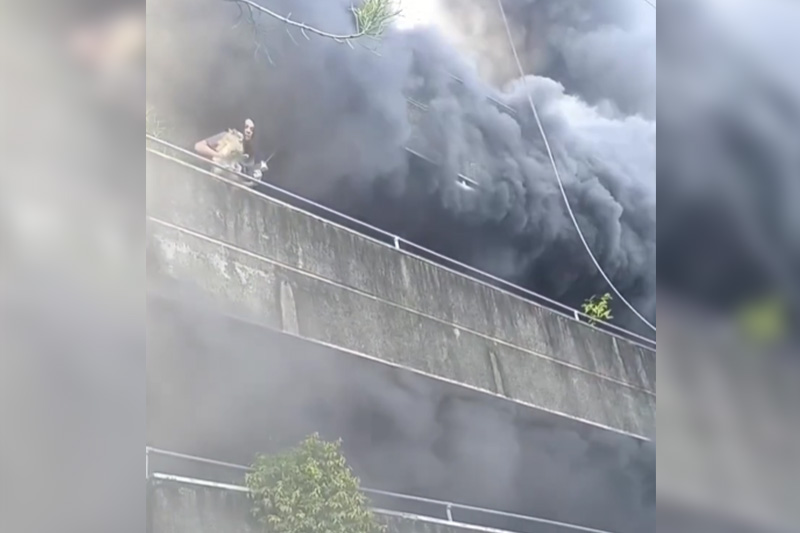 ‘Love over fear’: Woman in Cebu praised for rescuing dogs before herself in fire