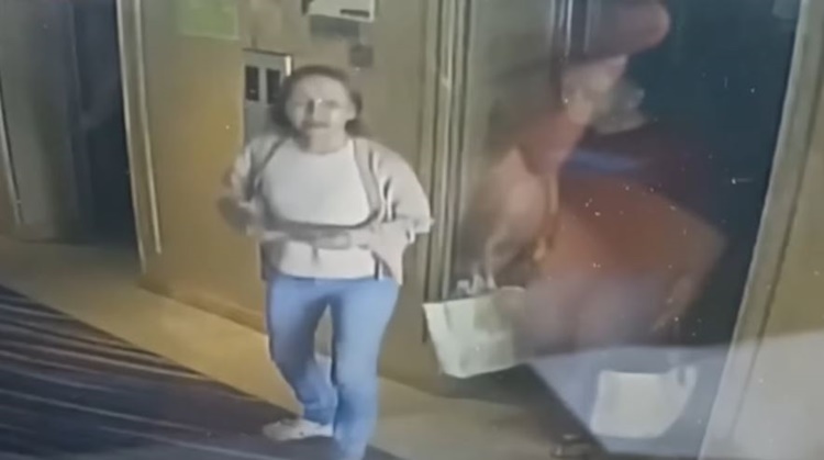 Hotel Releases CCTV Footage Before Catalina Cabral Fell to Her Death in Benguet