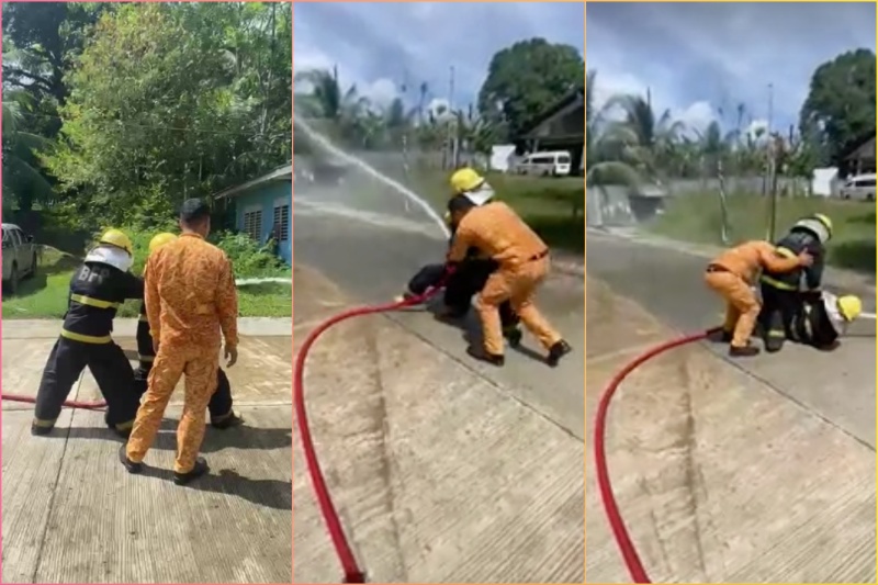 Hose knockdown young