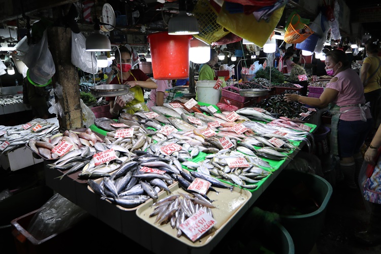 Female Fish Vendor Dies from Leptospirosis, Disease Reportedly Contracted at Public Market