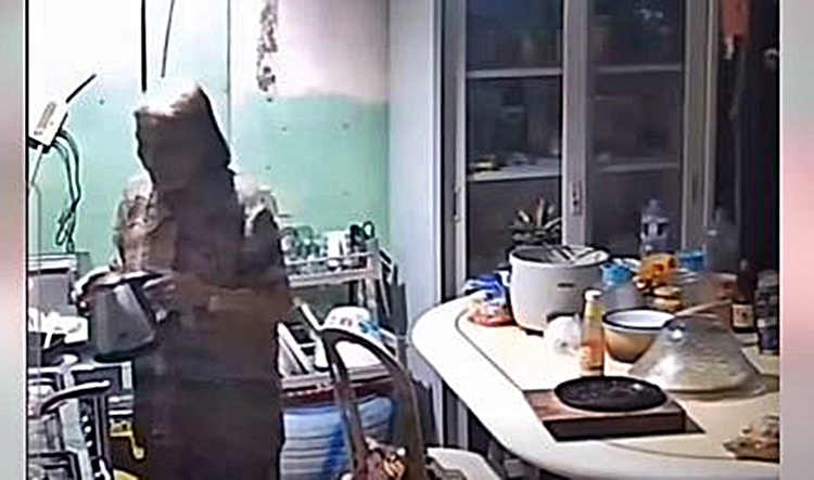 Woman Alarmed After Mother Mistakes Electric Kettle for Regular Teapot on Stove