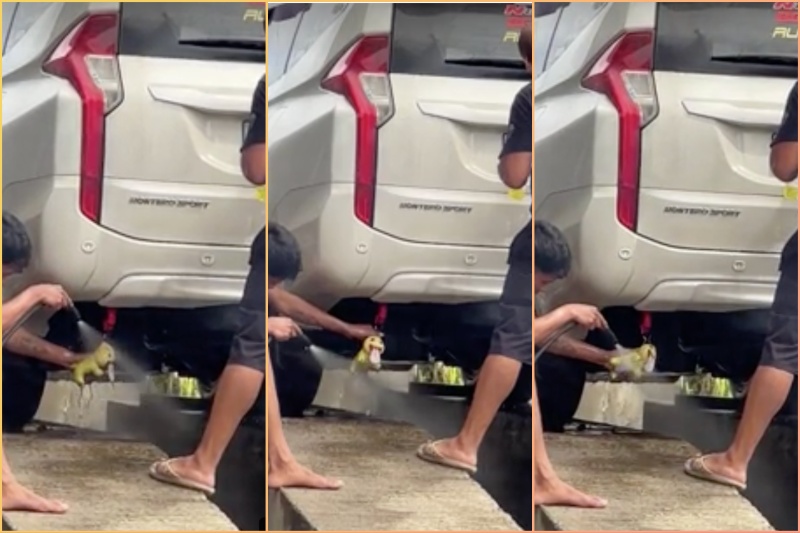Viral: Stuffed toy joins car wash in Roxas, amuses netizens