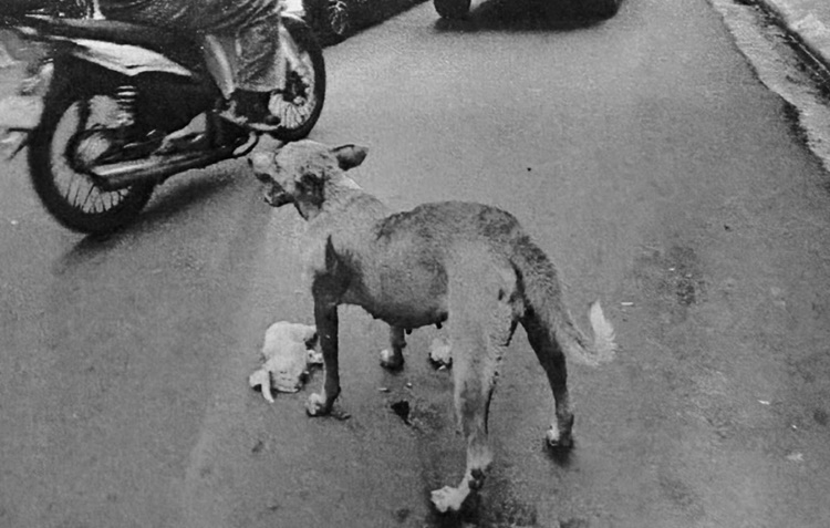 Aspin Stabbed to Death After Taking Small Piece of Meat in Caloocan