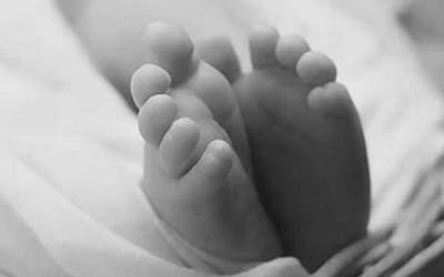 Patay na sanggol nakalkal ng aso sa basurahan