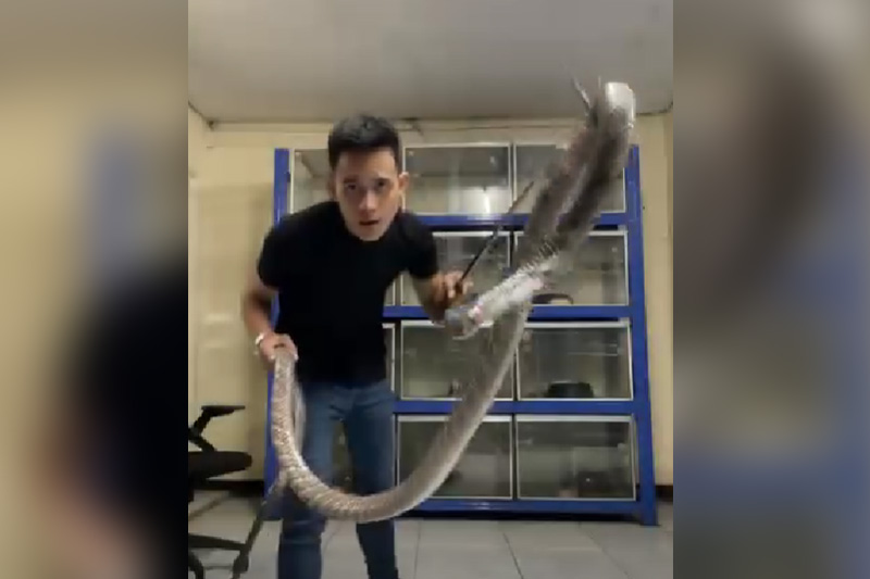 コブラ救助の獣医学学生、毒蛇に命奪われる