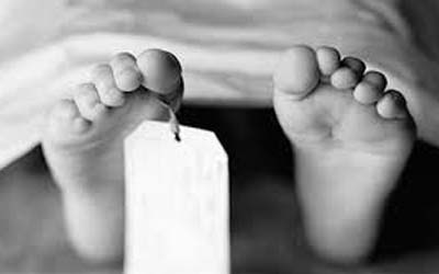 3歳児、誤って2歳の従兄弟に撃たれ死亡