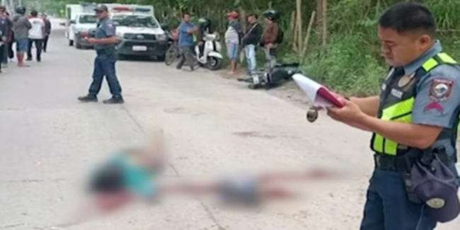 転倒した木に直撃、65歳女性ライダー死亡