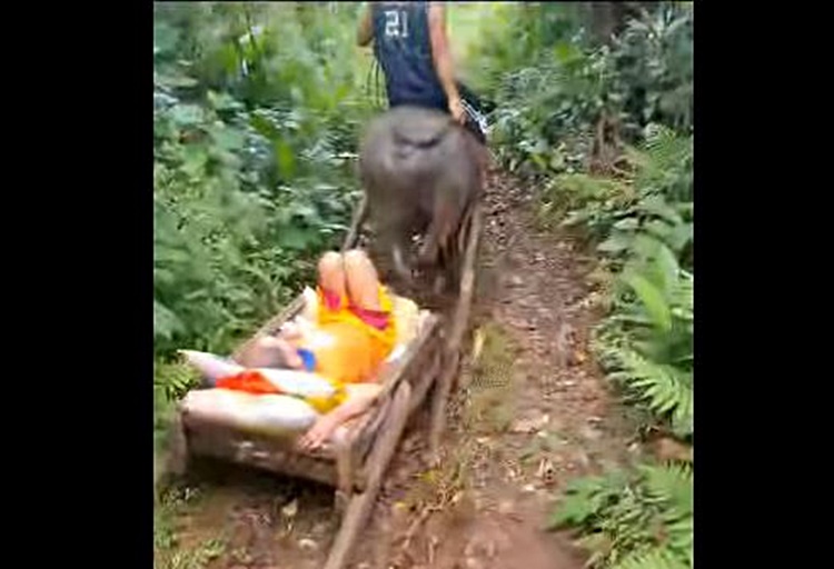 寝たきり高齢者、カラバオ車で年金受給の旅