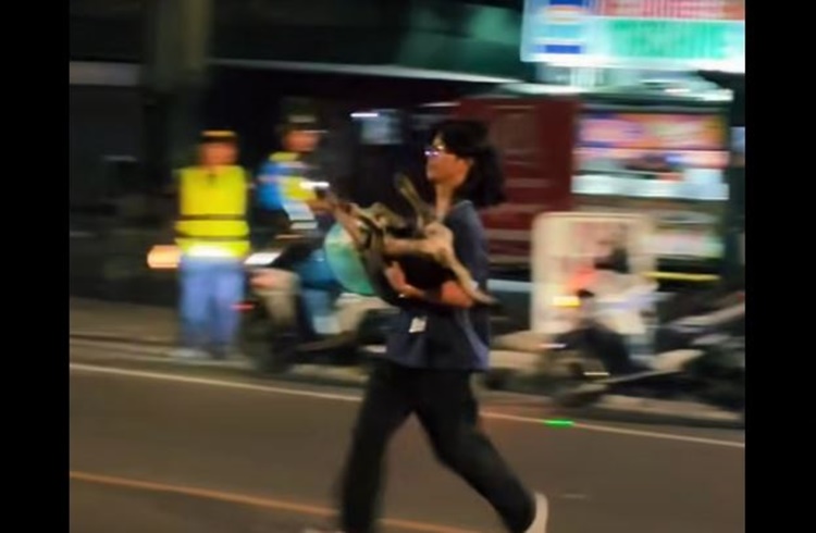 犬救助で称賛集めた善意のサマリア人