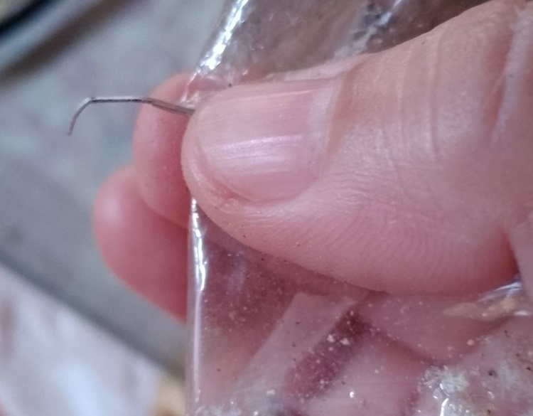 食事中に異物混入、夫がホチキス針誤飲