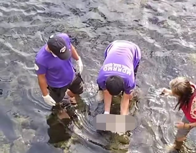 川で新生児遺体発見 子供たちの通報で発覚